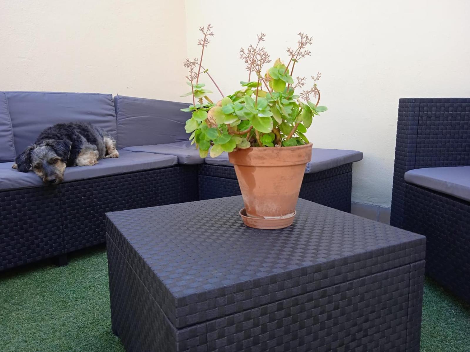 Livingtarifa Apartamento Nano Exteriör bild