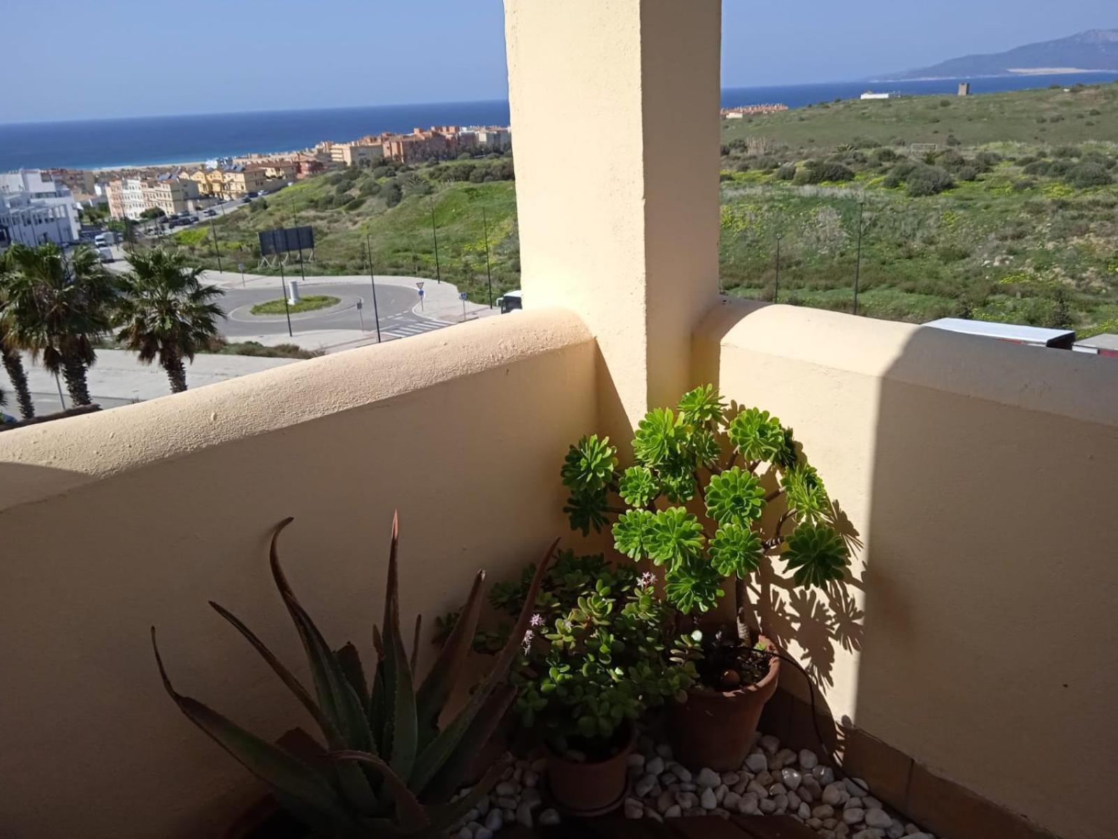 Livingtarifa Apartamento Nano Exteriör bild